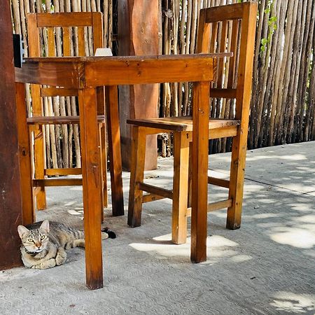 Ahava Hostal Boutique Κανκούν Εξωτερικό φωτογραφία