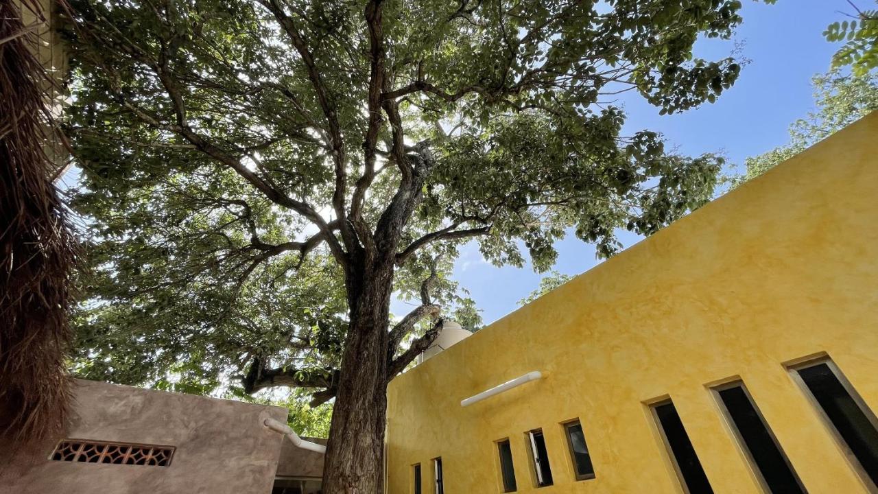 Ahava Hostal Boutique Κανκούν Εξωτερικό φωτογραφία