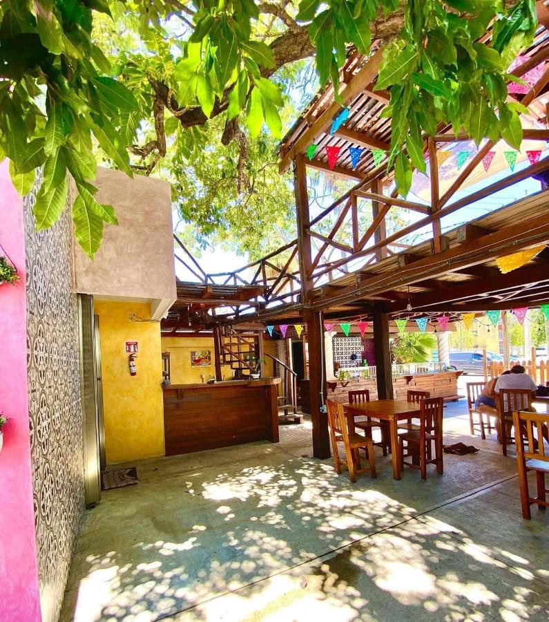 Ahava Hostal Boutique Κανκούν Εξωτερικό φωτογραφία