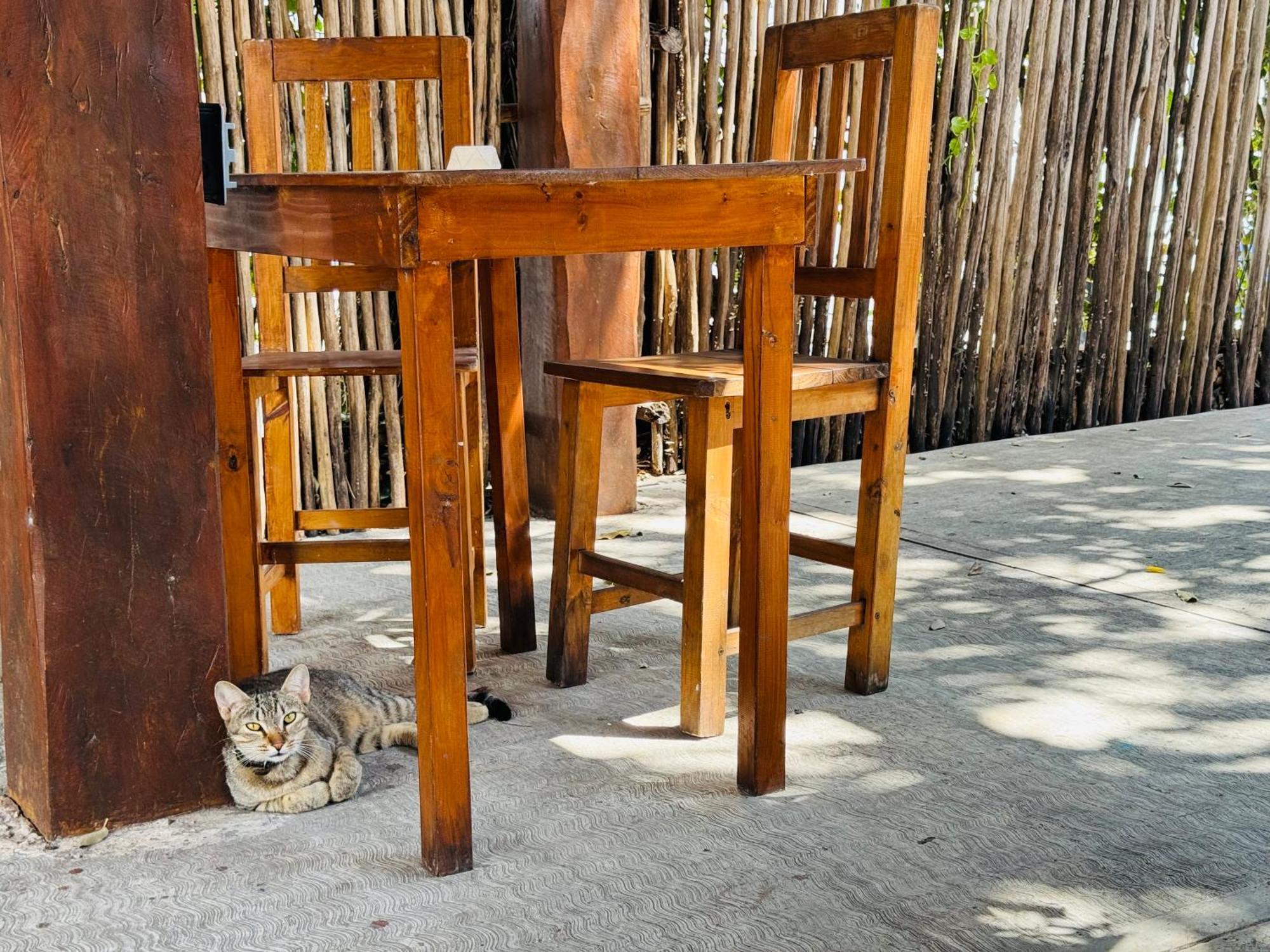 Ahava Hostal Boutique Κανκούν Εξωτερικό φωτογραφία